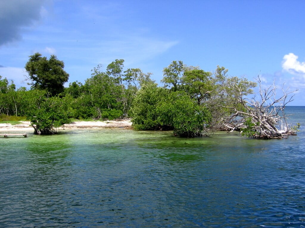 Cuba-beaches-Glimpses-of-The-World