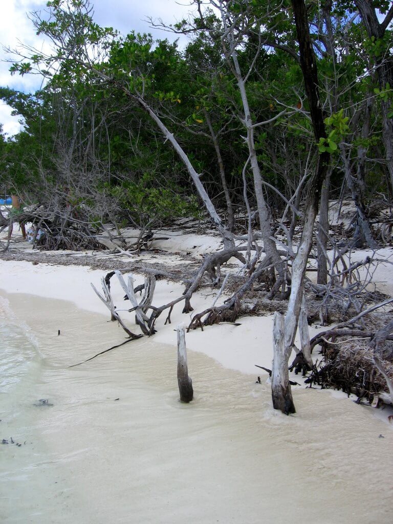 Cuba-travel-beaches-Glimpses-of-The-World