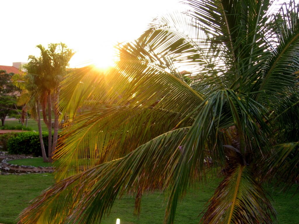 Cuba-Varadero-Glimpses-of-The-World