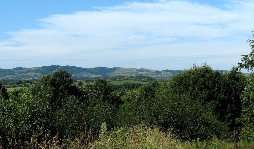 Srbija: KAD SE IZGUBITE U ROĐENOJ ZEMLJI (3)