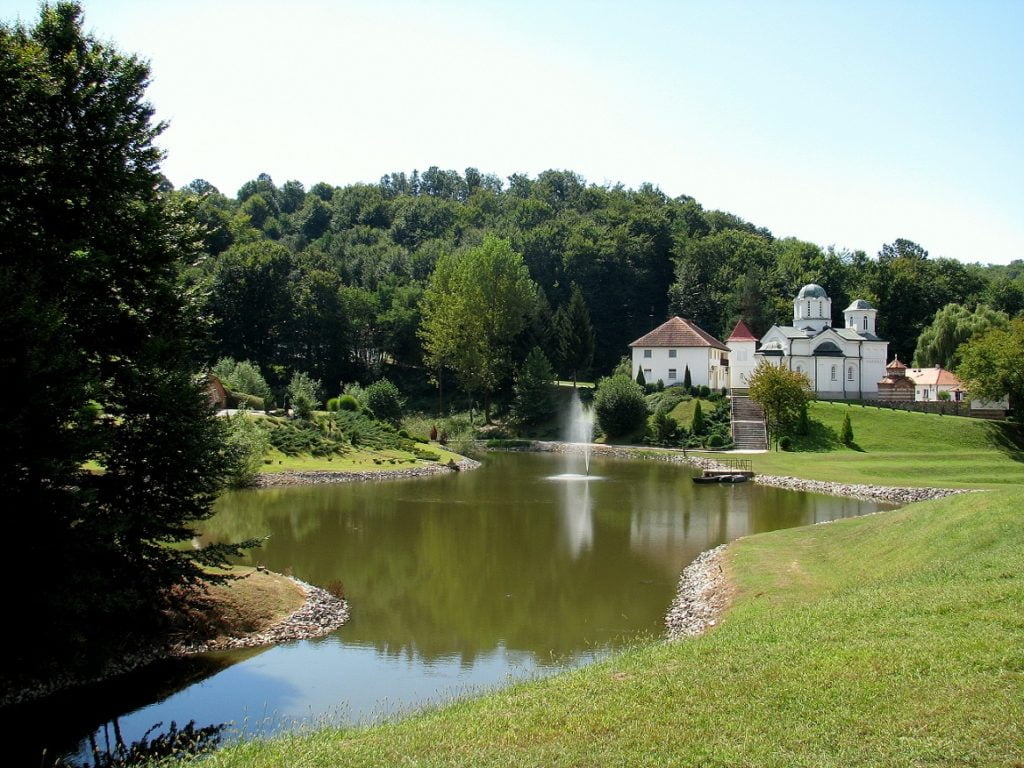 Serbia: DO NOT DISTURB SLEEPING DUCKS! (7)