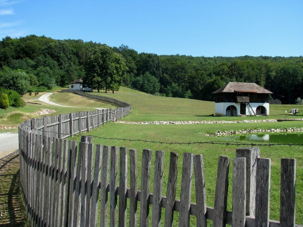 Serbia: THROUGH THE CORN FIELD? (9)