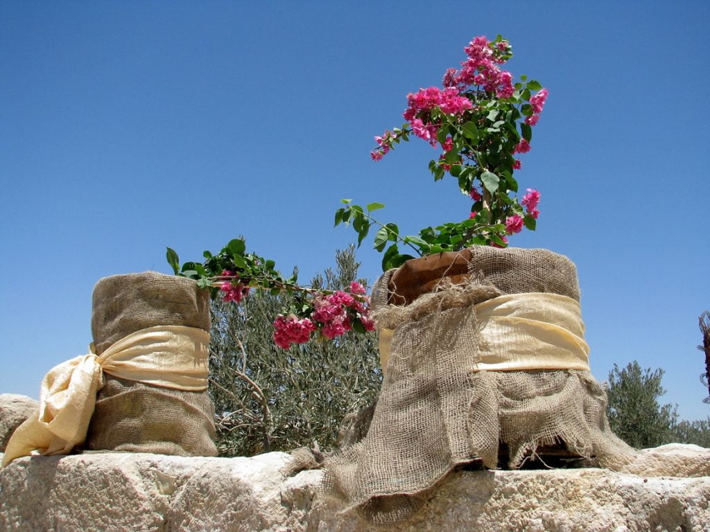Jordan: MOUNT NEBO AND JORDAN RIVER (5)