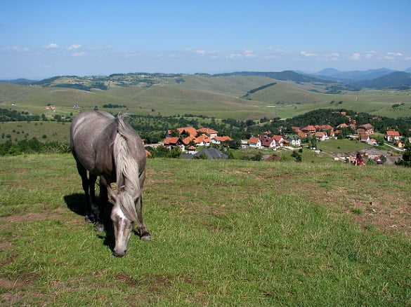 Serbia-travel-Zlatibor-Glimpses-of-The-World
