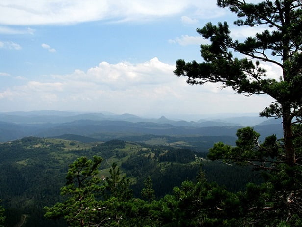 Zlatibor mountain