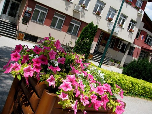 Zlatibor mountain