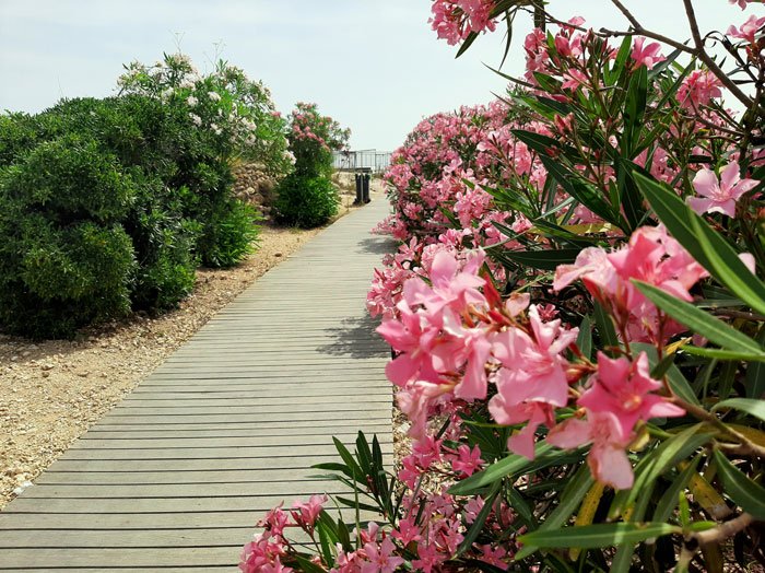 Malta-Gozo-Calypso-Cave-Glimpses-of-the-World