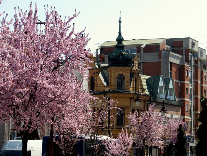 Serbia-travel-Cacak-Glimpses-of-the-World