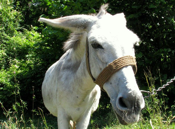 Sokobanja-Serbia-slow-adventure-Glimpses-of-the-World