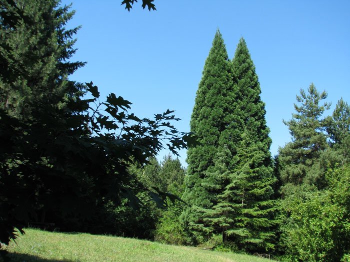 Sokobanja-Serbia-slow-adventure-Glimpses-of-the-World