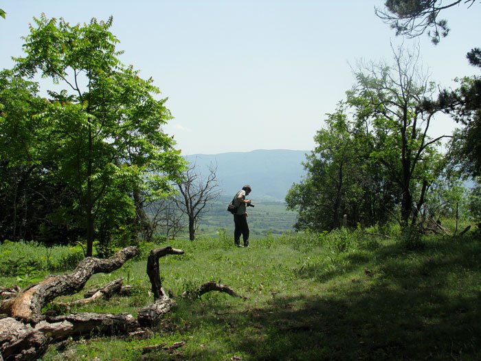 Sokobanja-Serbia-slow-adventure-Glimpses-of-the-World