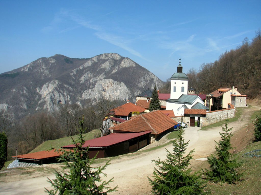 THINGS TO DO IN GUCA SERBIA