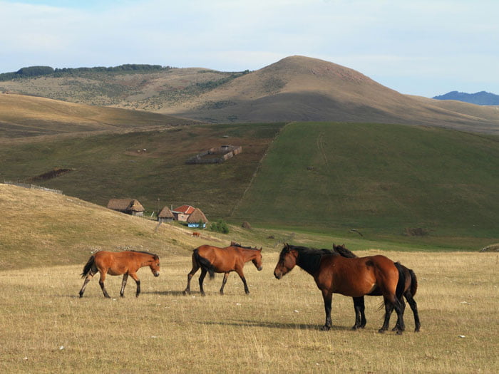 Pester-plateau-Serbia-Glimpses-of-the-World