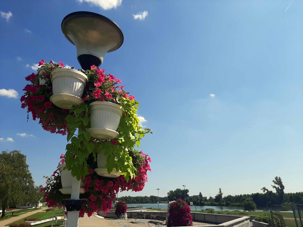THINGS TO DO IN NOVI BEČEJ